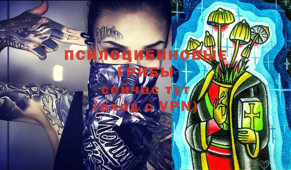 герыч Жердевка