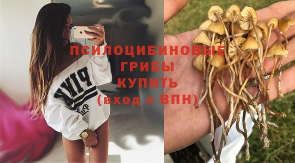 герыч Жердевка