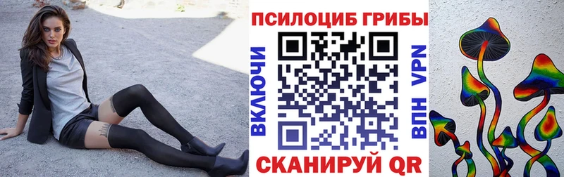 наркота  shop формула  OMG ссылка  Псилоцибиновые грибы Magic Shrooms  Кирсанов 